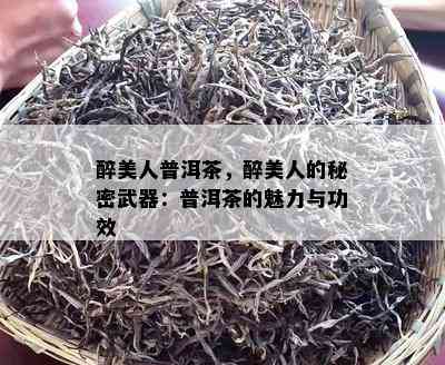 醉美人普洱茶，醉美人的秘密武器：普洱茶的魅力与功效