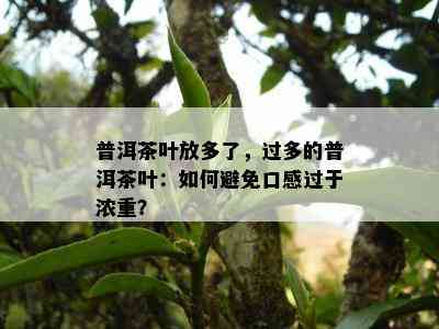 普洱茶叶放多了，过多的普洱茶叶：怎样避免口感过于浓重？