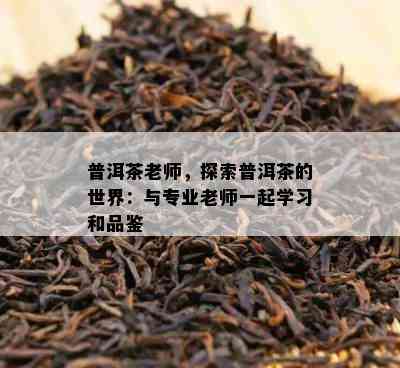 普洱茶老师，探索普洱茶的世界：与专业老师一起学习和品鉴