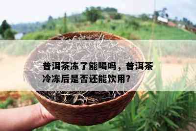 普洱茶冻了能喝吗，普洱茶冷冻后是不是还能饮用？