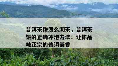 普洱茶饼怎么沏茶，普洱茶饼的正确冲泡方法：让你品味正宗的普洱茶香