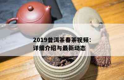 2019普洱茶春茶视频：详细介绍与最新动态