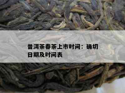 普洱茶春茶上市时间：确切日期及时间表