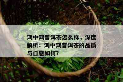 鸿中鸿普洱茶怎么样，深度解析：鸿中鸿普洱茶的品质与口感如何？