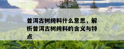 普洱古树纯料什么意思，解析普洱古树纯料的含义与特点