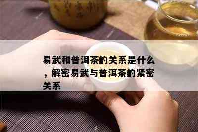 易武和普洱茶的关系是什么，解密易武与普洱茶的紧密关系