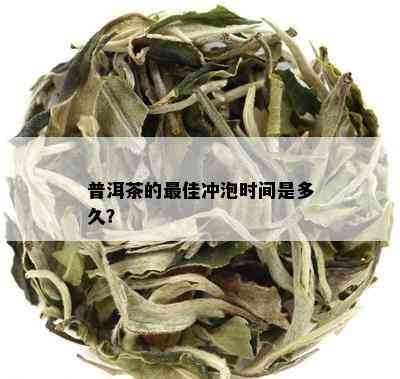 普洱茶的更佳冲泡时间是多久？