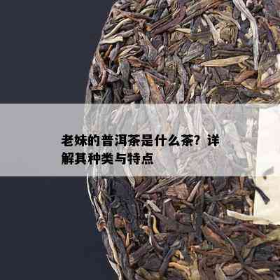 老妹的普洱茶是什么茶？详解其种类与特点