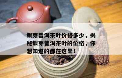 银芽普洱茶叶价格多少，揭秘银芽普洱茶叶的价格，你想知道的都在这里！