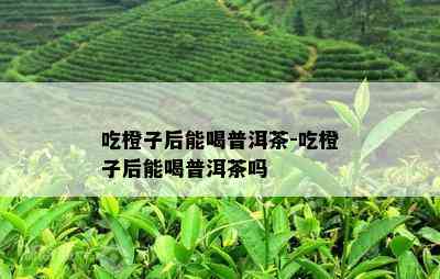 吃橙子后能喝普洱茶-吃橙子后能喝普洱茶吗