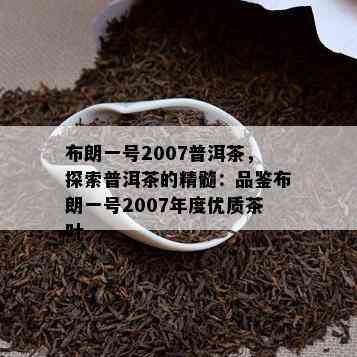 布朗一号2007普洱茶，探索普洱茶的精髓：品鉴布朗一号2007年度优质茶叶