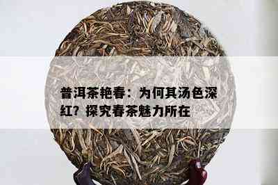 普洱茶艳春：为何其汤色深红？探究春茶魅力所在