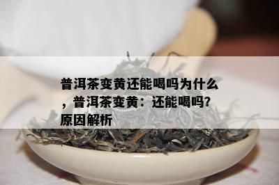 普洱茶变黄还能喝吗为什么，普洱茶变黄：还能喝吗？起因解析