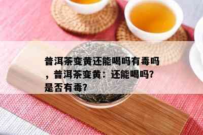 普洱茶变黄还能喝吗有吗，普洱茶变黄：还能喝吗？是不是有？