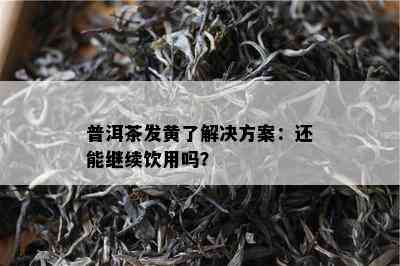 普洱茶发黄熟悉决方案：还能继续饮用吗？