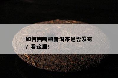 怎样判断熟普洱茶是不是发霉？看这里！