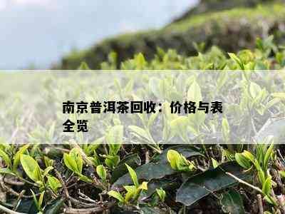 南京普洱茶回收：价格与表全览