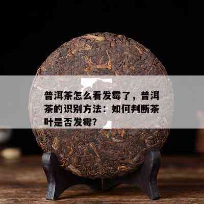 普洱茶怎么看发霉了，普洱茶的识别方法：怎样判断茶叶是不是发霉？