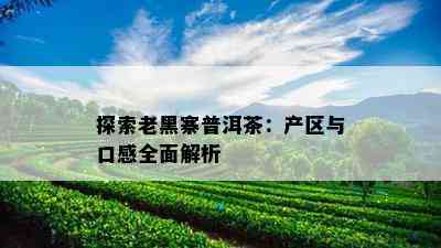 探索老黑寨普洱茶：产区与口感全面解析