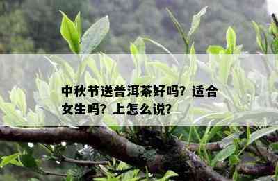 中秋节送普洱茶好吗？适合女生吗？上怎么说？