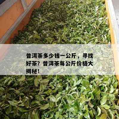 普洱茶多少钱一公斤，寻找好茶？普洱茶每公斤价格大揭秘！