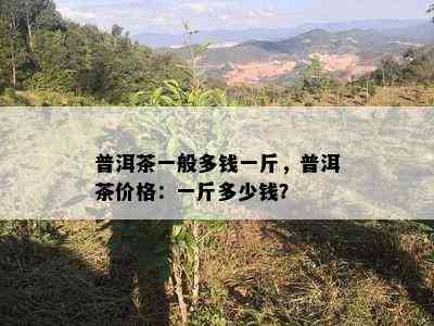 普洱茶一般多钱一斤，普洱茶价格：一斤多少钱？