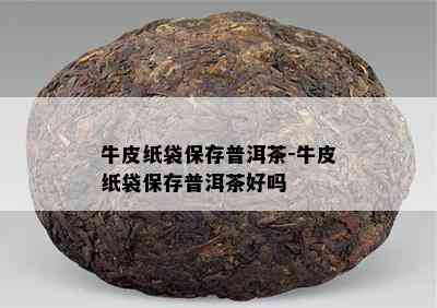 牛皮纸袋保存普洱茶-牛皮纸袋保存普洱茶好吗