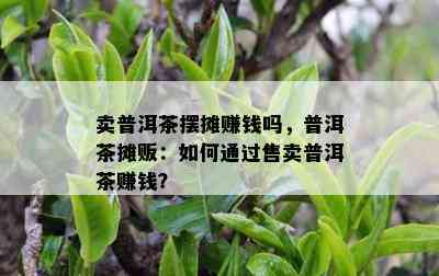 卖普洱茶摆摊赚钱吗，普洱茶摊贩：如何通过售卖普洱茶赚钱？