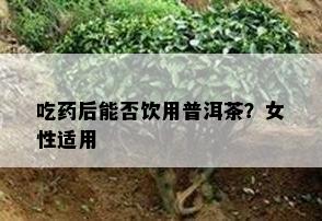 吃后能否饮用普洱茶？女性适用