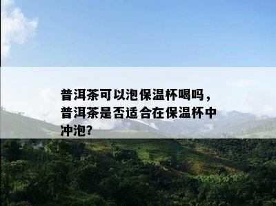 普洱茶可以泡保温杯喝吗，普洱茶是不是适合在保温杯中冲泡？