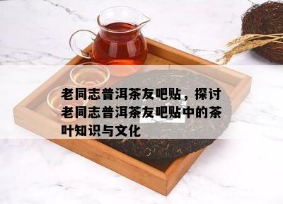 老同志普洱茶友吧贴，探讨老同志普洱茶友吧贴中的茶叶知识与文化