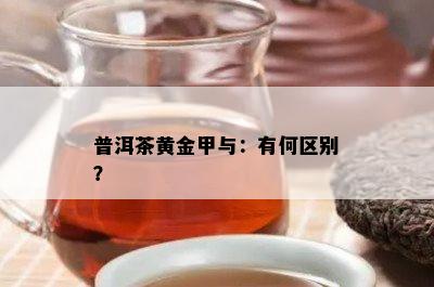 普洱茶黄金甲与：有何区别？