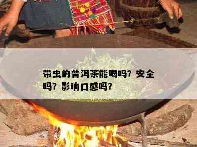 带虫的普洱茶能喝吗？安全吗？作用口感吗？