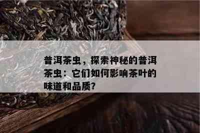 普洱茶虫，探索神秘的普洱茶虫：它们怎样作用茶叶的味道和品质？