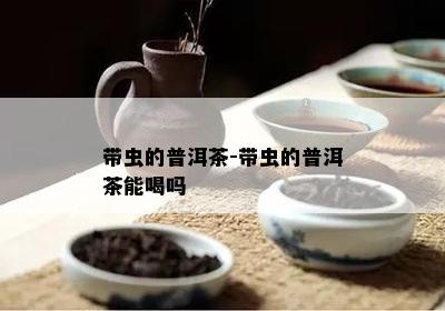 带虫的普洱茶-带虫的普洱茶能喝吗