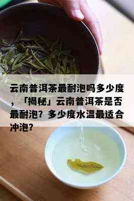 云南普洱茶最耐泡吗多少度，「揭秘」云南普洱茶是不是最耐泡？多少度水温最适合冲泡？