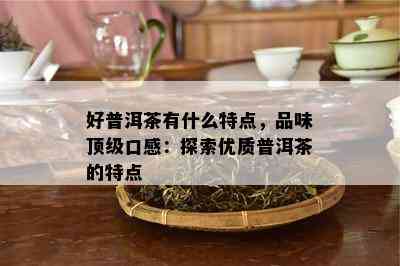 好普洱茶有什么特点，品味顶级口感：探索优质普洱茶的特点