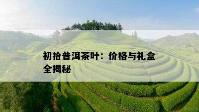 初拾普洱茶叶：价格与礼盒全揭秘