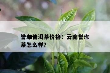 誉珈普洱茶价格：云南誉珈茶怎么样？