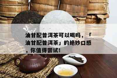 油甘配普洱茶可以喝吗，「油甘配普洱茶」的绝妙口感，你值得尝试！