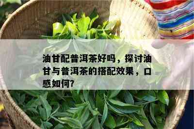 油甘配普洱茶好吗，探讨油甘与普洱茶的搭配效果，口感怎样？