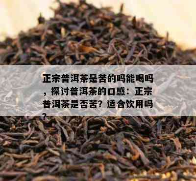 正宗普洱茶是苦的吗能喝吗，探讨普洱茶的口感：正宗普洱茶是不是苦？适合饮用吗？