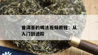 普洱茶的喝法视频教程：从入门到进阶