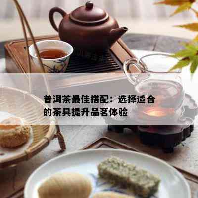 普洱茶更佳搭配：选择适合的茶具提升品茗体验