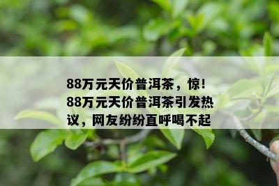 88万元天价普洱茶，惊！88万元天价普洱茶引发热议，网友纷纷直呼喝不起