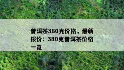 普洱茶380克价格，最新报价：380克普洱茶价格一览