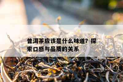 普洱茶应该是什么味道？探索口感与品质的关系