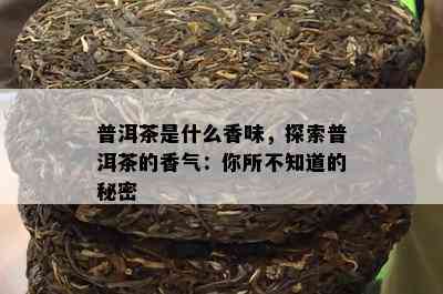 普洱茶是什么香味，探索普洱茶的香气：你所不知道的秘密