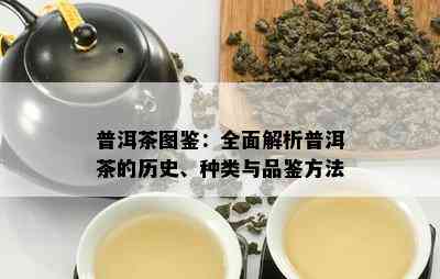 普洱茶图鉴：全面解析普洱茶的历史、种类与品鉴方法