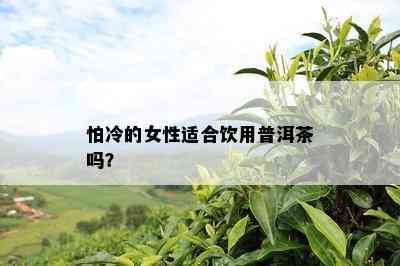 怕冷的女性适合饮用普洱茶吗？